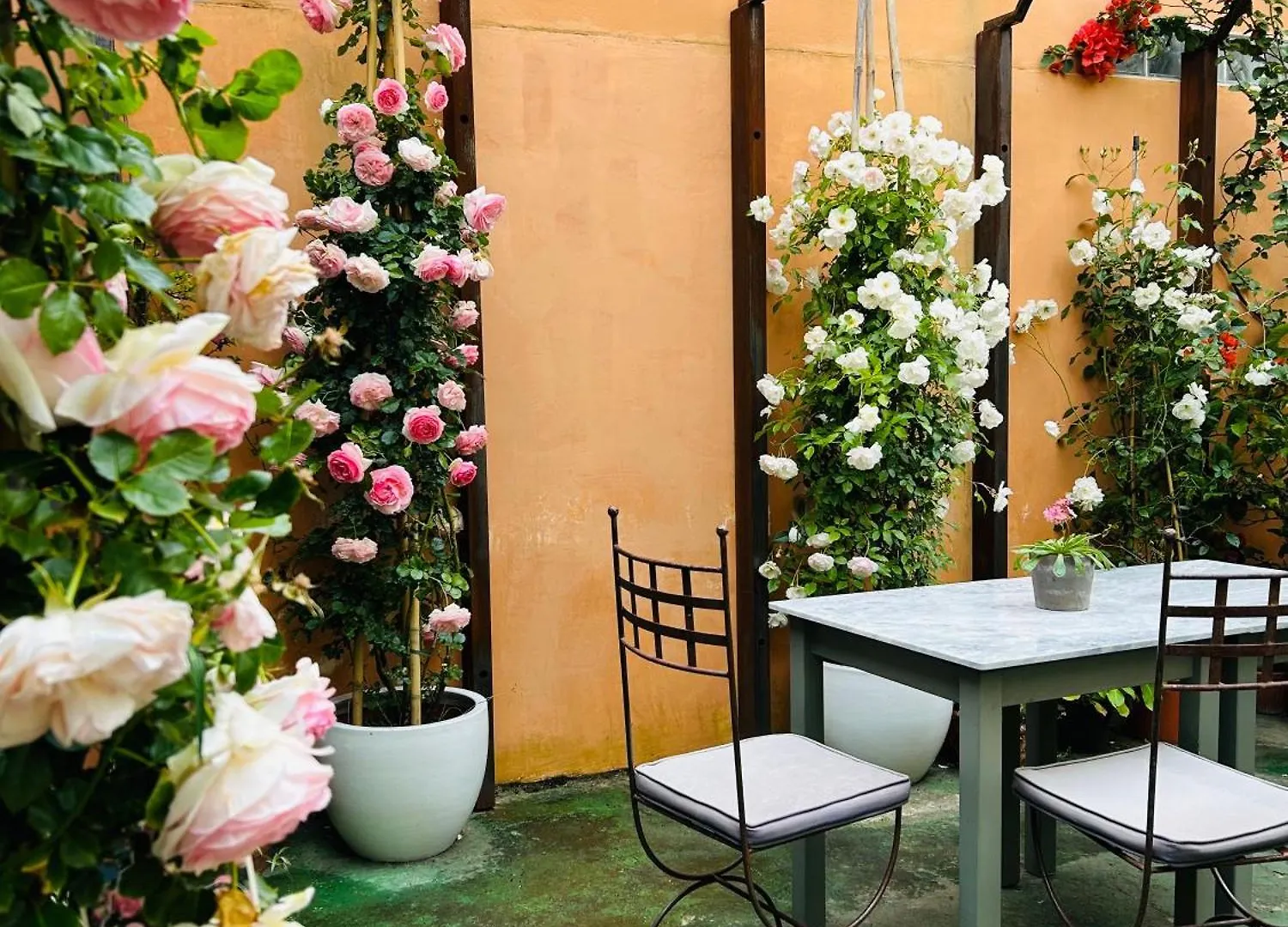 Art Hotel פיאטרה סנטה  פיאטרה סנטה